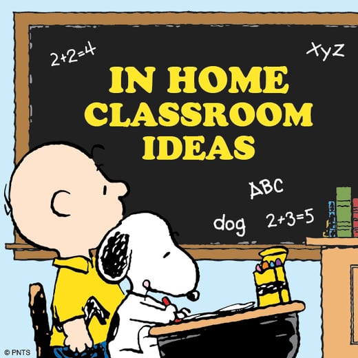 Curriculum Social Square-01
